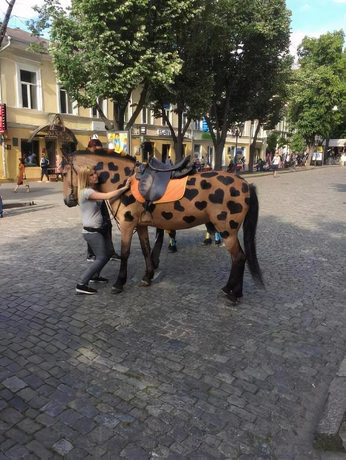 Ваша квартира - у самого Дерибаса! Одесса Экстерьер фото
